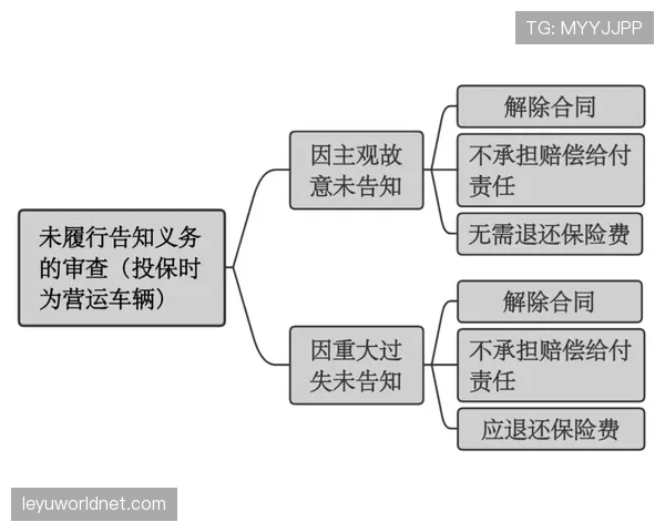 主裁判职责有哪些关键规则，如何确保比赛公正判罚？